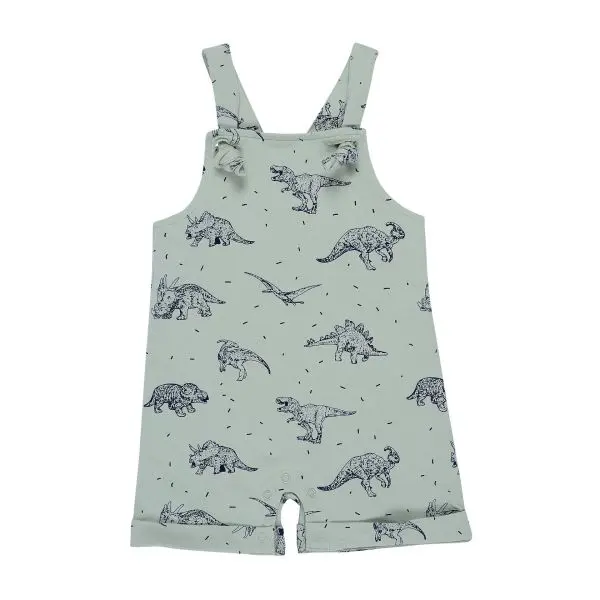 Byron Bay Dinosaur Overalls Onesie